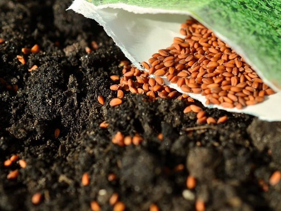 Grond gereedmaken, inzaaien of aanplanten