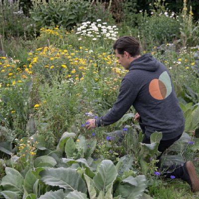 Aan het werk tussen de inheemse planten